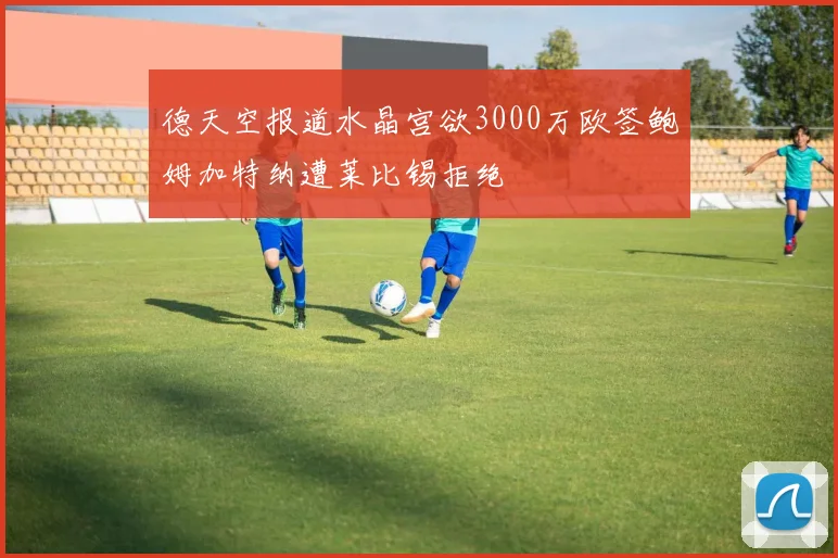 德天空报道水晶宫欲3000万欧签鲍姆加特纳遭莱比锡拒绝
