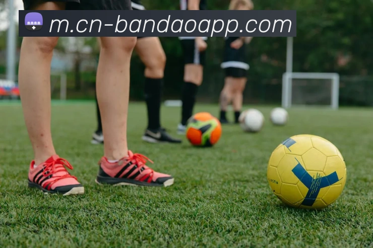 半岛体育服务体系